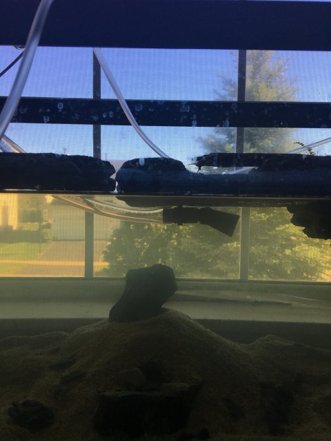 TMA: Thu Jun 01 2017 09:36:36 GMT-0500 (CDT).jpg