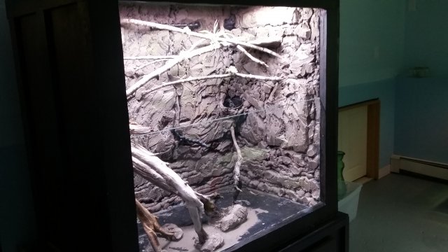 20170529_151900.jpg 20170529_151900.jpg