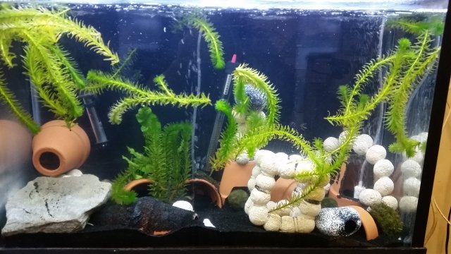 20170602_092123.jpg