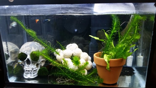 20170602_092128.jpg