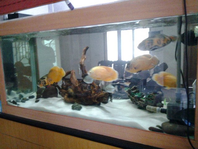 20170522_070655.jpg