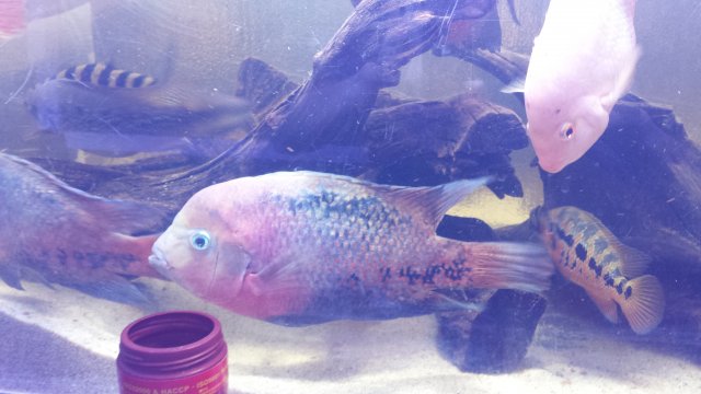20170604_111349.jpg