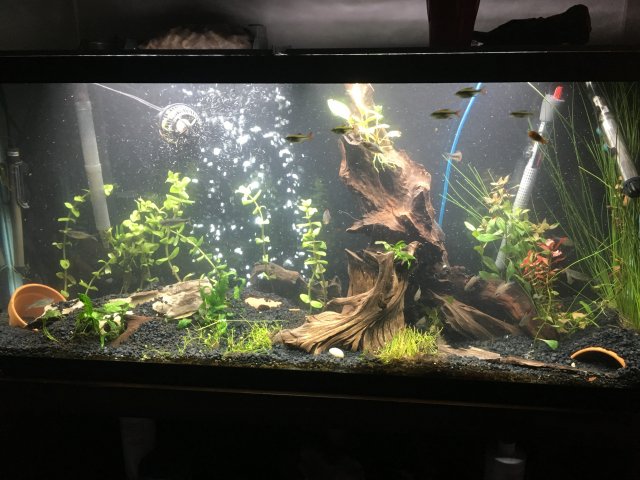 IMG_1019.JPG IMG_1019.JPG