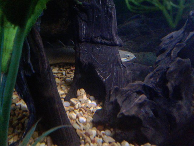 20170607_172058.jpg