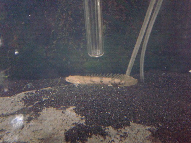 20170607_233715.jpg