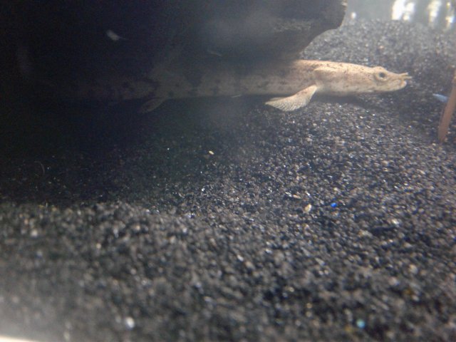 20170607_233235.jpg
