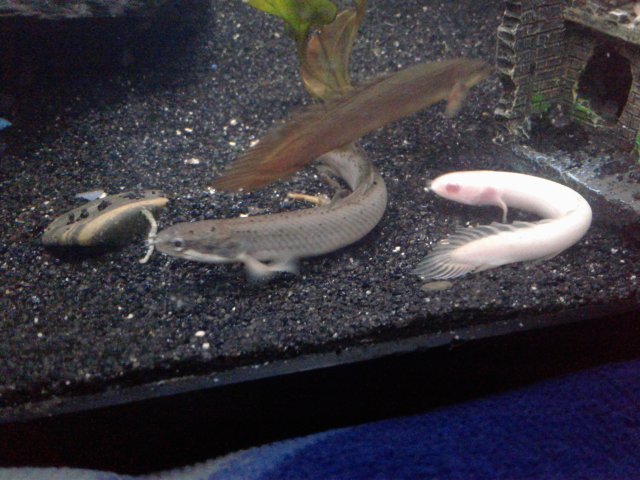 20170607_233102.jpg
