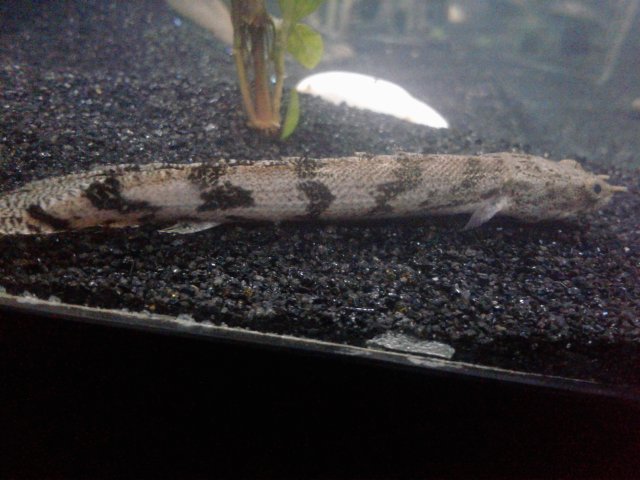 20170607_232636.jpg