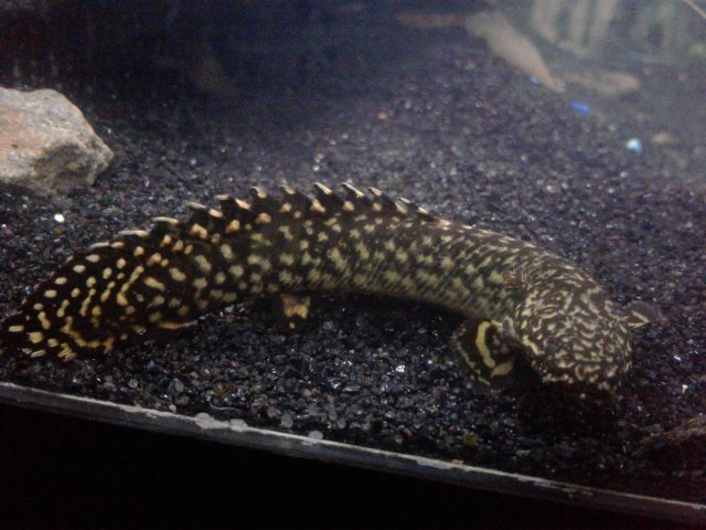 20170607_232629.jpg