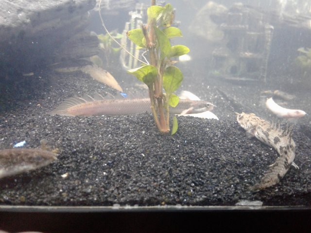 20170607_233321.jpg