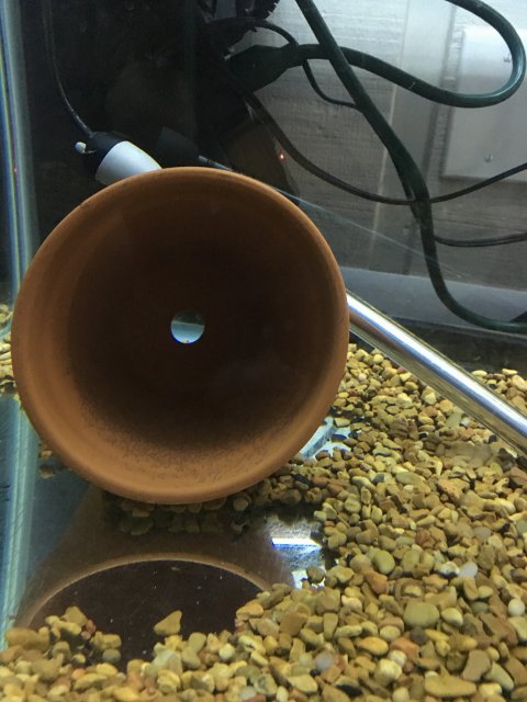 IMG_3383.JPG IMG_3383.JPG