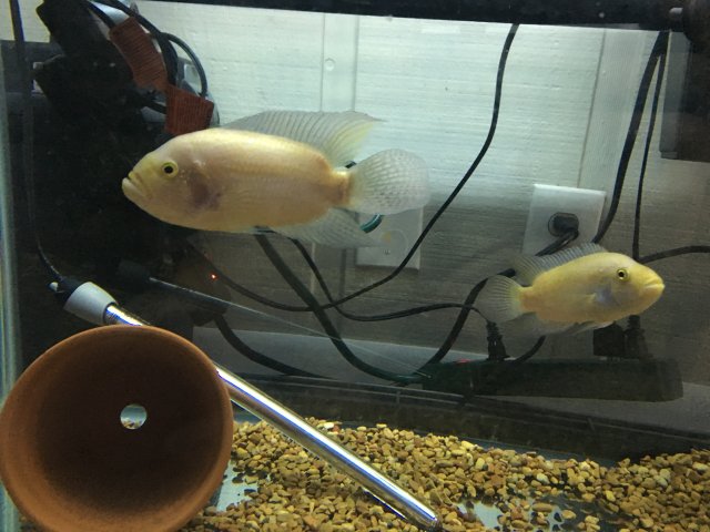 IMG_3384.JPG IMG_3384.JPG