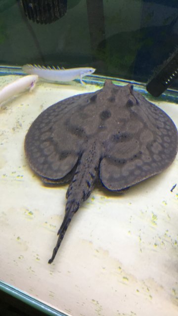 IMG_8128.JPG IMG_8128.JPG