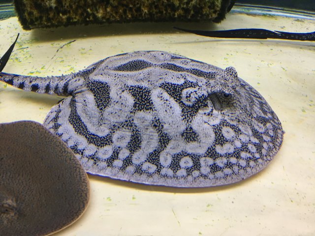 IMG_8141.JPG IMG_8141.JPG