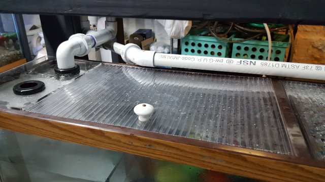 20170610_174300.jpg