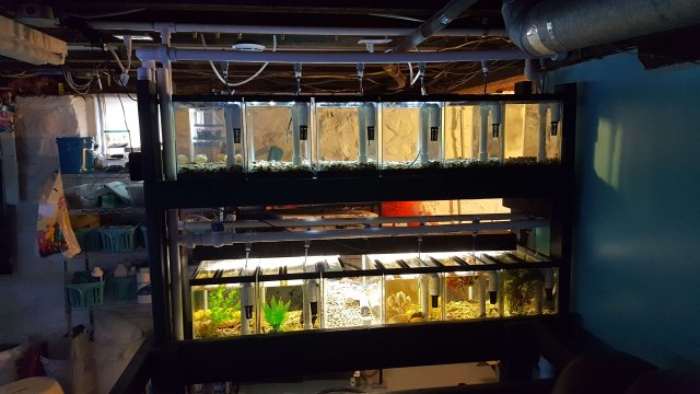 20170610_153613.jpg