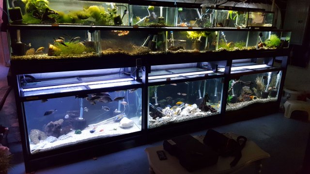 20170610_181132.jpg