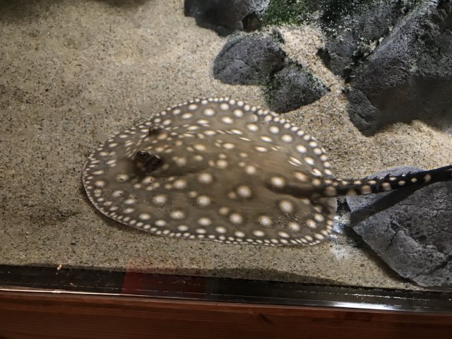 IMG_4004.JPG IMG_4004.JPG