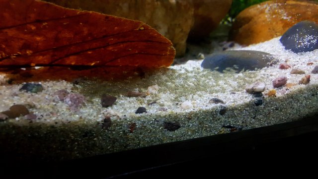 20170527_110511.jpg