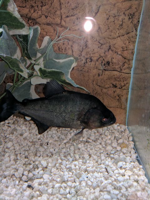IMG_20170613_171233.jpg