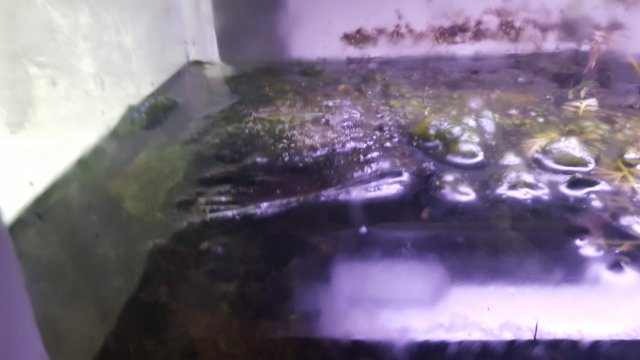 20170614_161912.jpg
