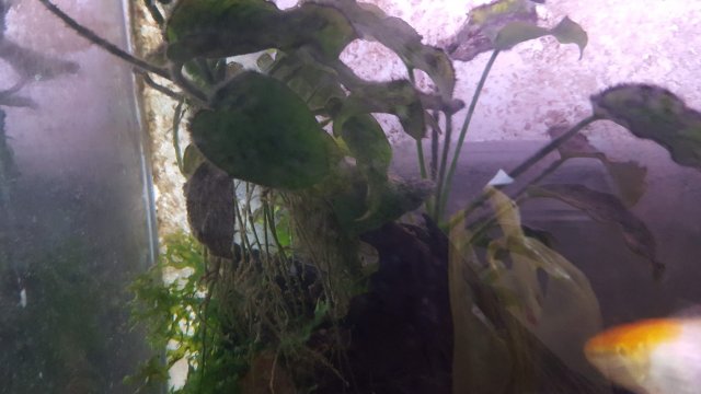 20170614_161925.jpg