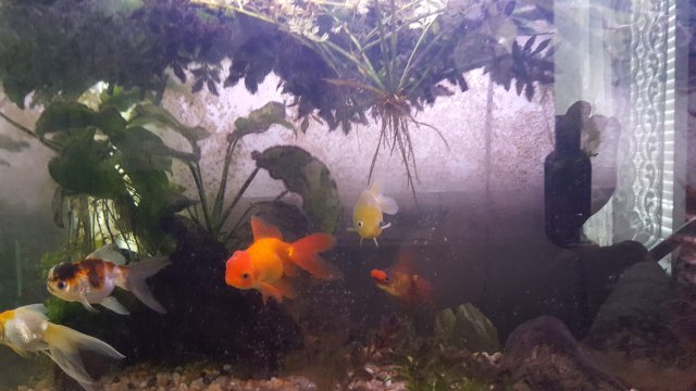 20170614_161935.jpg