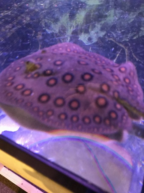IMG_0435.JPG IMG_0435.JPG