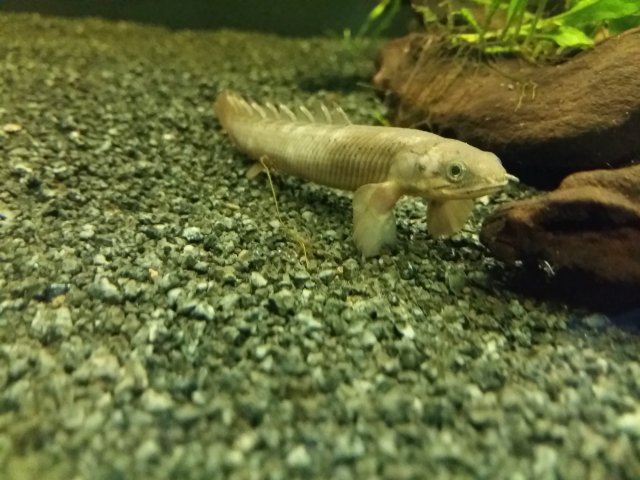 20170605_170015.jpg