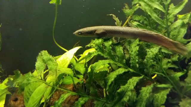 20170616_165206.jpg