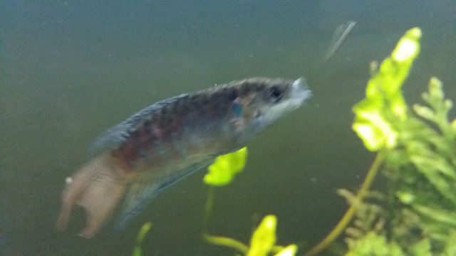 20170614_200003.jpg