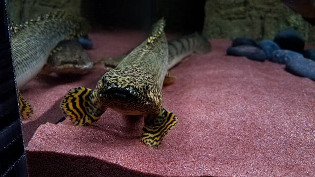 Screenshot_20170415-092036.png Screenshot_20170415-092036.png