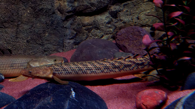 Screenshot_20170616-130428.png Screenshot_20170616-130428.png