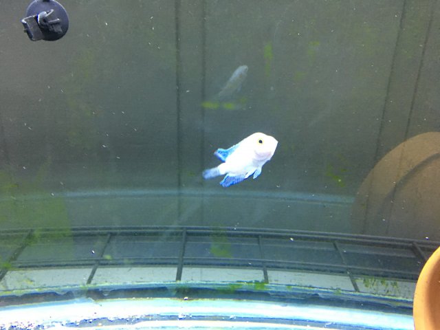 IMG_3394.JPG IMG_3394.JPG