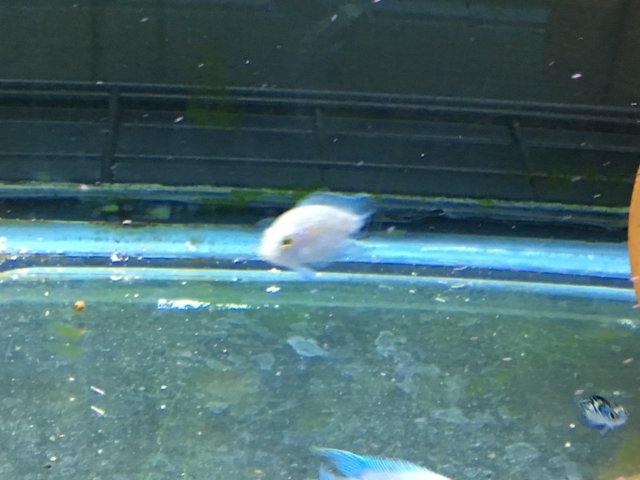 IMG_3395.JPG IMG_3395.JPG