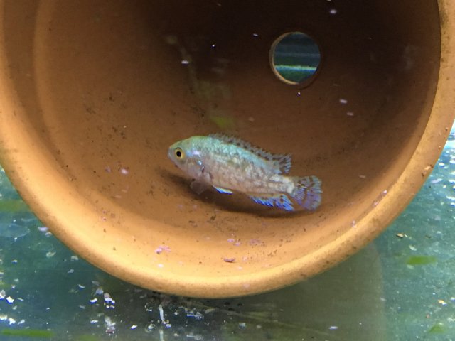 IMG_3396.JPG IMG_3396.JPG