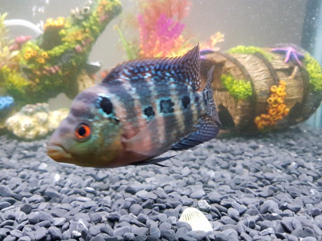 20170612_195547.jpg