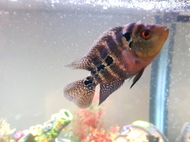 20170605_194523.jpg