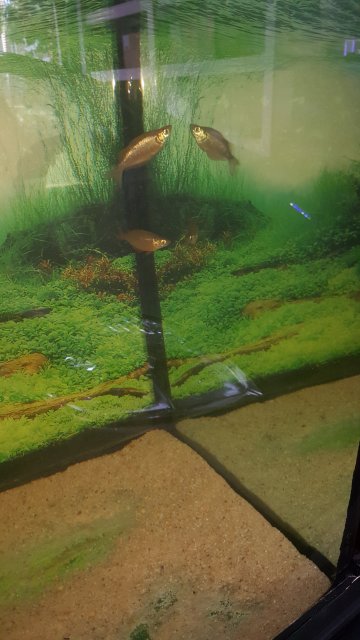 20170617_130839.jpg