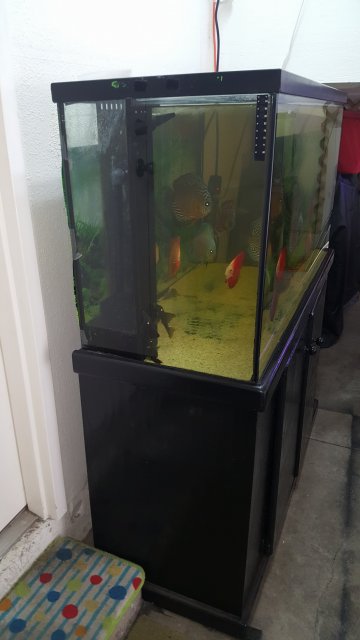 20170617_130944.jpg