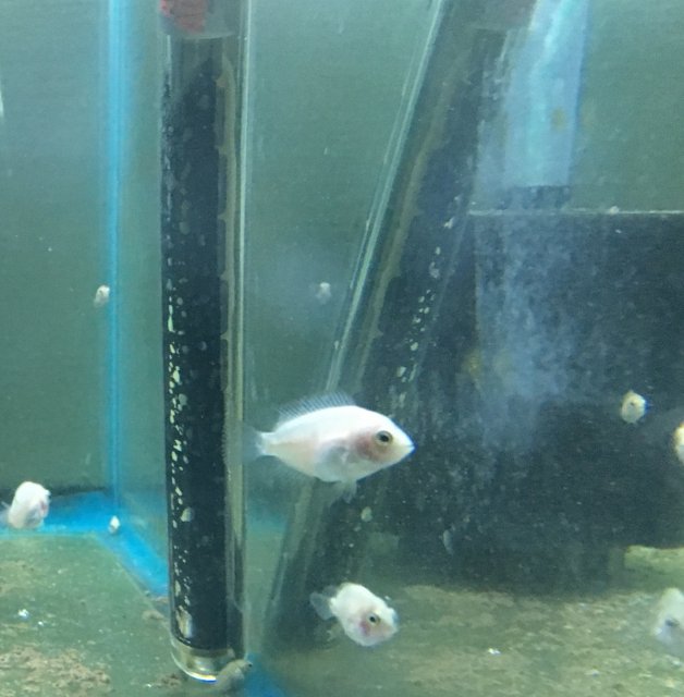 IMG_3400.JPG IMG_3400.JPG