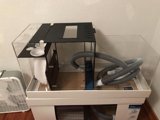 sump2.jpg sump2.jpg
