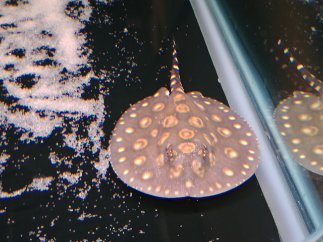20170617_170525.jpg