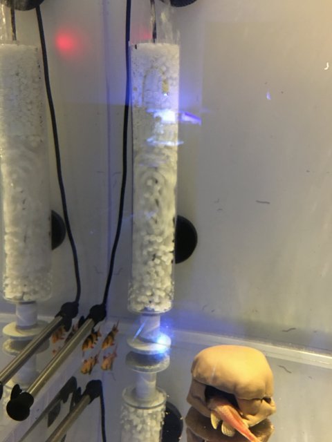 IMG_4497.JPG IMG_4497.JPG