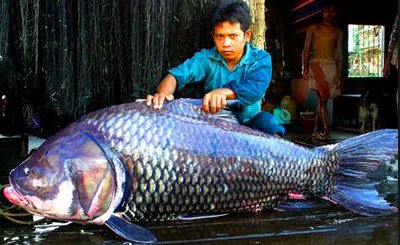 Screen Shot 2017-06-21 at 9.11.16 PM.png