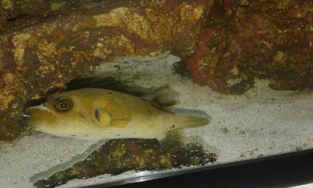 1235.jpg 1235.jpg
