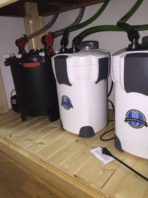 image.jpeg image.jpeg