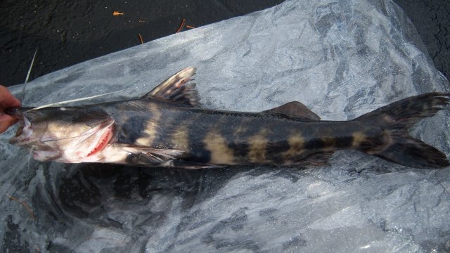100_3547.JPG