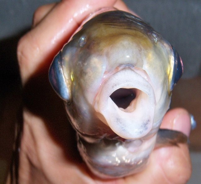 100_7900.JPG