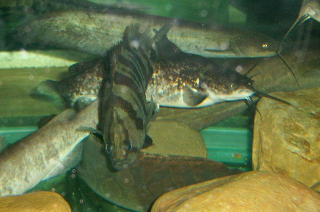 100_7879.JPG